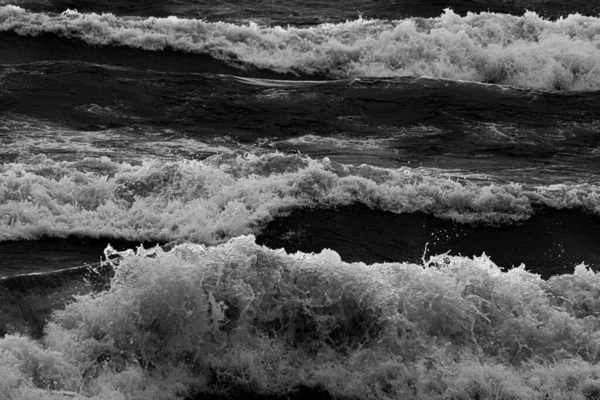 Šedá Stupnice Velkých Vln Pláži — Stock fotografie