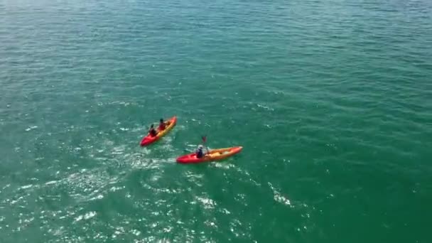 Повітряні Кадри Туристів Каное Плавають Океані — стокове відео