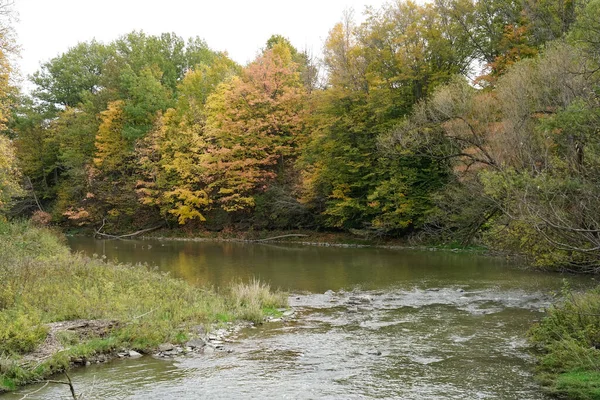 Malowniczy Widok Rzeki Przepływającej Przez Drzewa Kolorowymi Liśćmi Jesienią — Zdjęcie stockowe