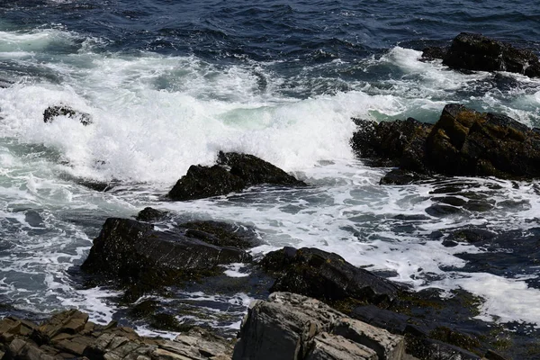 Deniz Manzarasının Güzel Görüntüsü — Stok fotoğraf