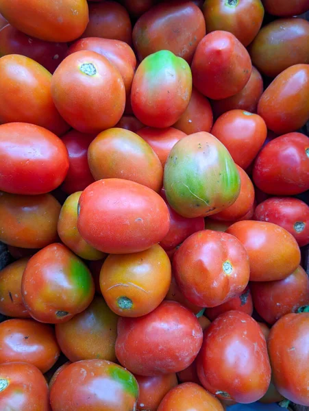 Eine Nahaufnahme Von Bio Tomaten — Stockfoto