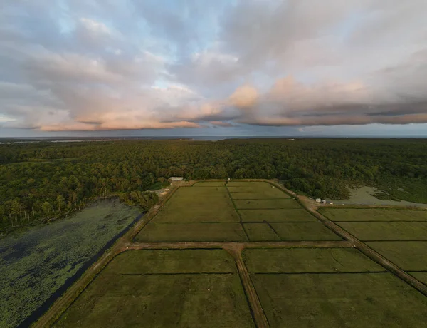 Uitzicht Vanuit Lucht Het Platteland Met Landbouwvelden — Stockfoto