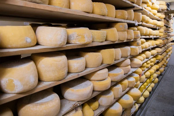 Stack Raw Cheese Shelves — Stockfoto