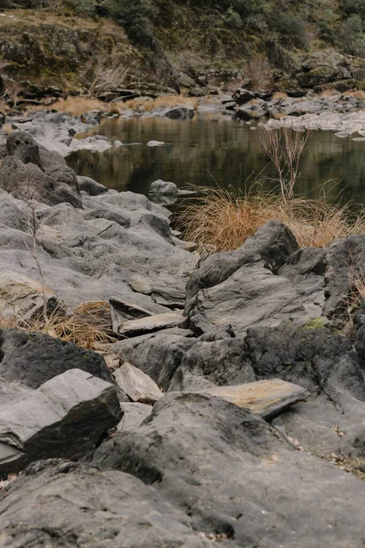 Eine Vertikale Aufnahme Der Felsigen Küste Eines Flusses Mit Trockenem — Stockfoto