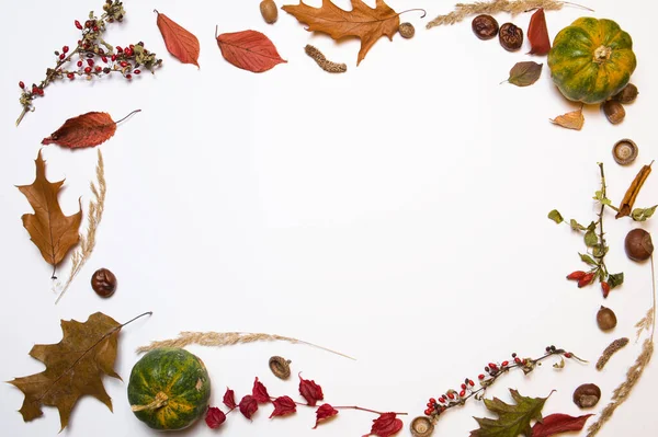 Colorful Frame Autumn Leaves Fruits White Background — ストック写真