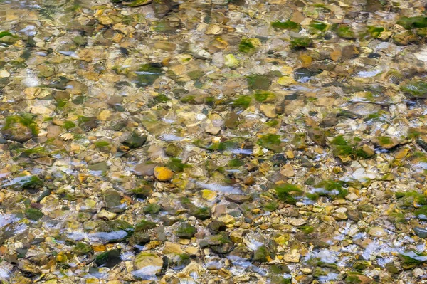 Uma Vista Pedras Musgosas Sob Água Pura Com Fundo Borrado — Fotografia de Stock