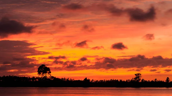 Belo Pôr Sol Parque Nacional Everglades — Fotografia de Stock