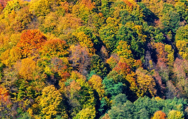Piękny Krajobraz Liściastym Lasem Widocznym Góry Jesienią — Zdjęcie stockowe