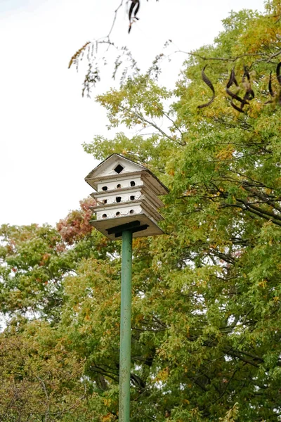 Vertical Shot Birdhouse Park Trees Background — Photo