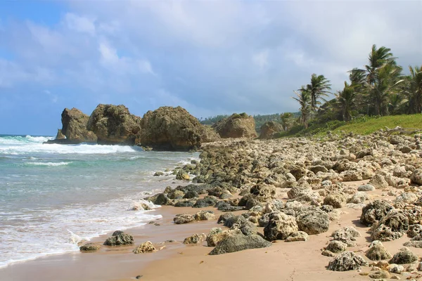 Mesmerizing View Beautiful Seascape Barbado — Stock Photo, Image