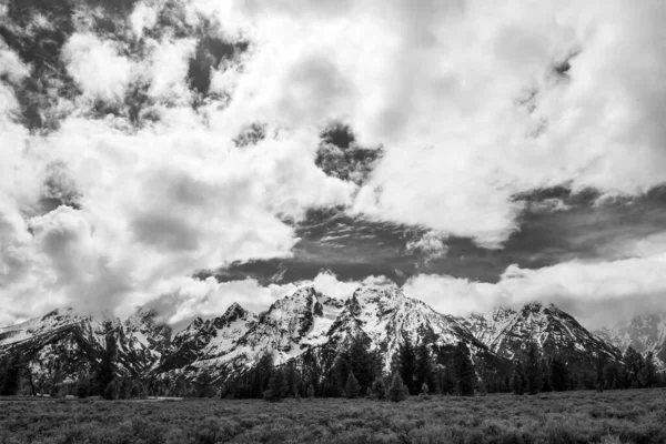 寒い日に雪に覆われた山の灰色のショット — ストック写真