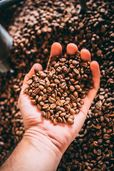 Hand Holding Heap Roasted Coffee Beans — Stock Photo, Image