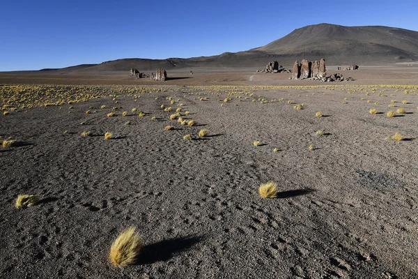 智利北部阿塔卡马沙漠的干旱景观 地面上有立柱 — 图库照片