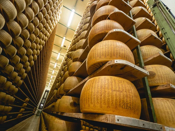 Parma Italia Noviembre 2021 Una Rueda Queso Parmigiano Reggiano Certificada — Foto de Stock