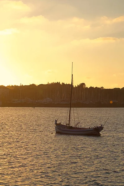 Вертикальний Постріл Човна Пливе Морі Під Час Заходу Сонця — стокове фото