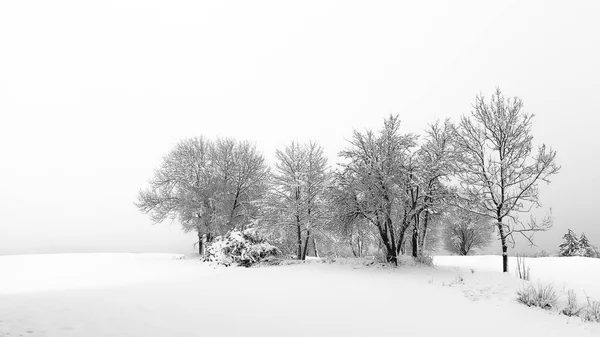 Paisaje Árboles Paisaje Nevado — Foto de Stock