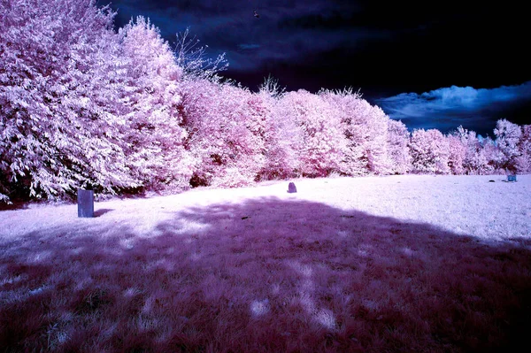 Cloudy Sky Field Edited Pink Color Spring — Stockfoto