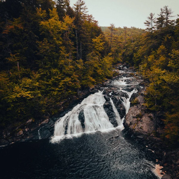 Flygbild Ett Vackert Vattenfall Som Går Genom Skogen — Stockfoto