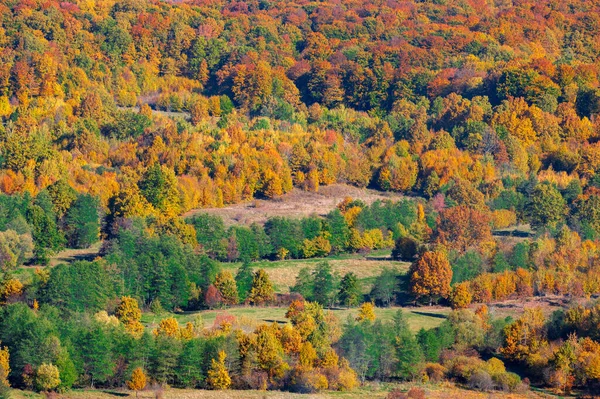 Uma Bela Paisagem Com Uma Floresta Decídua Vista Cima Outono — Fotografia de Stock