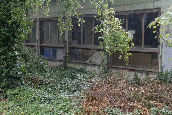 Занедбаний Сад Біля Старої Будівлі — стокове фото
