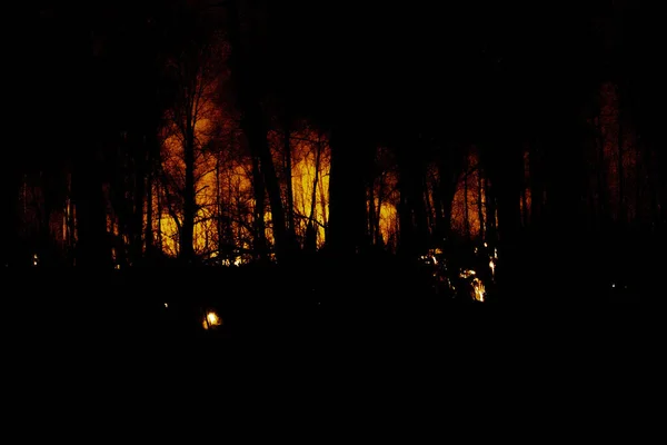 Pericoloso Incendio Della Siberia Vicino Novosibirsk Russia Nell Ottobre 2021 — Foto Stock