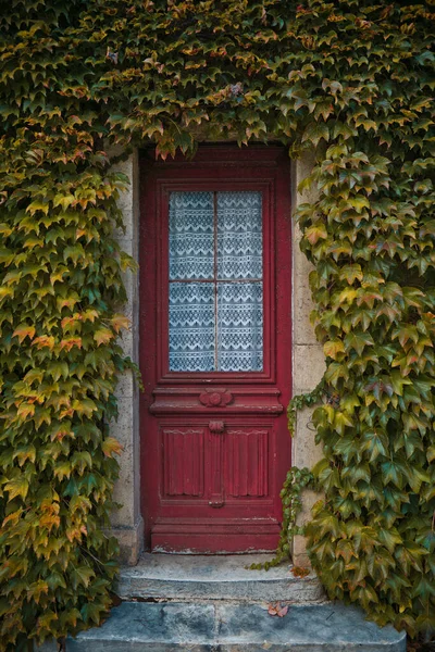 Вертикальный Снимок Старой Красной Двери Окружении Листьев Покрывающих Стену — стоковое фото