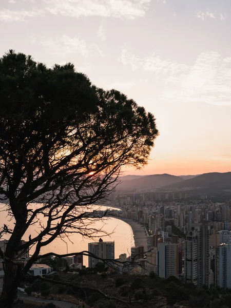 Vertical Shot Cityscape Benidorm Spain Sunset — Foto de Stock