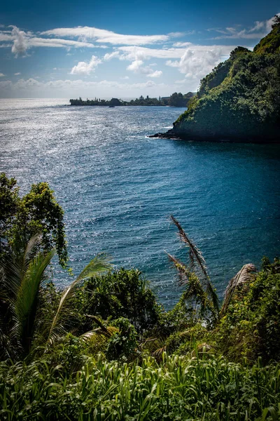 Vertical Shot Beautiful Tropical Road Hana Coastline Maui — Stockfoto