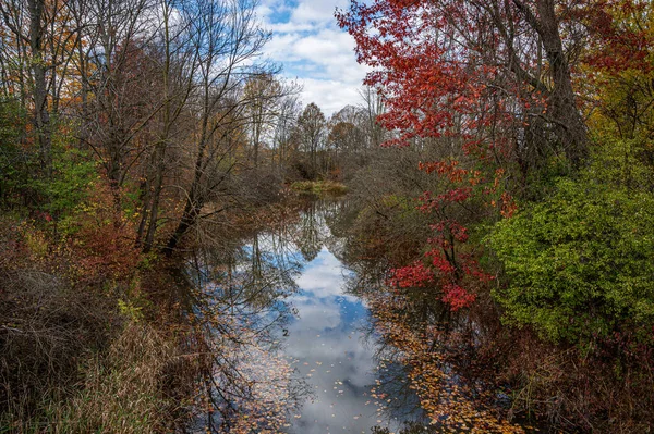 Ein Schöner Reflektierender Teich Einem Bunten Herbstwald — Stockfoto
