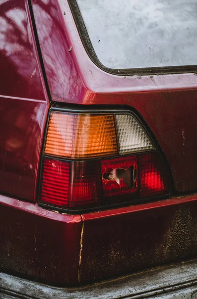 Vertical Closeup Shot Dirty Broken Backlight Red Car — 图库照片