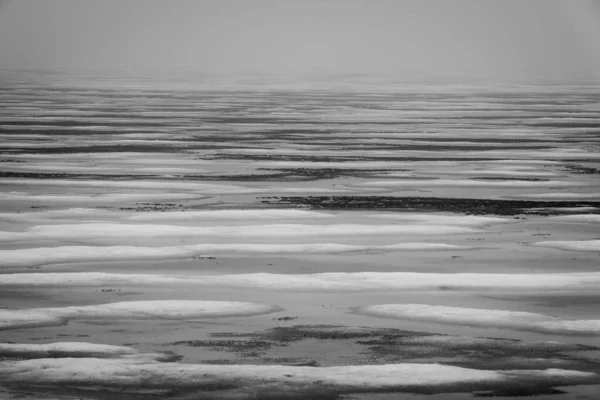 ビーチでの海塩のグレースケールショット — ストック写真