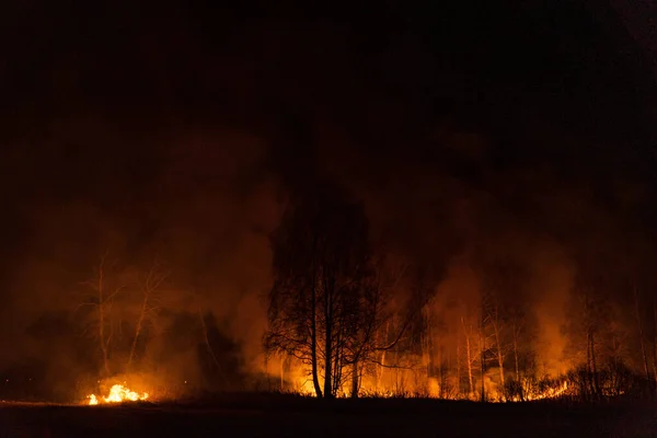 Небезпечна Лісова Пожежа Сибіру Поблизу Новосибірська Росія Жовтні 2021 Року — стокове фото