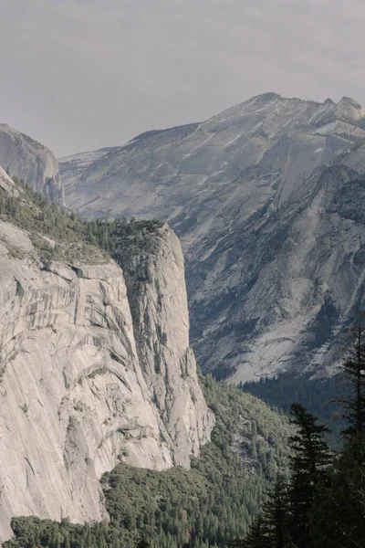 Vertical Shot Rocky Mountains Conifer Trees Gray Sky Yosemite National — Stockfoto