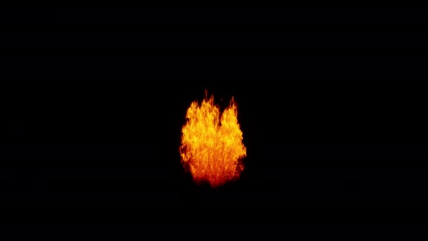 Foc Flăcări Fundal Negru — Videoclip de stoc