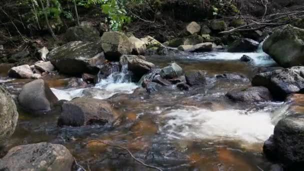 Tiro vertical de rocas en un arroyo que fluye el agua — Vídeos de Stock