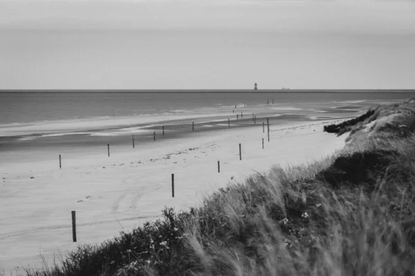 Šedivý Záběr Měkkých Vln Oceánu Pěnou Písčité Pláži — Stock fotografie