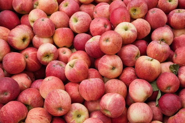 Egy Csúcskép Sok Vöröses Almáról — Stock Fotó