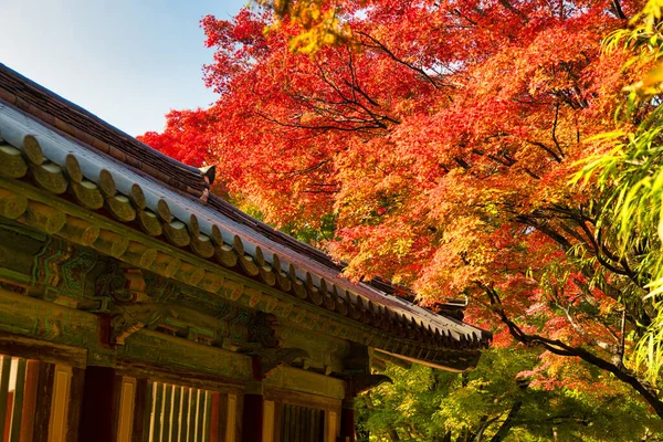 Oude Bulguksa Tempel Gyeongju Zuid Korea — Stockfoto