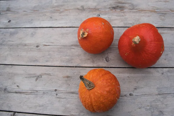 Top View Shot Pink Pumpkins Decoration Rustic Wooden Table — Stockfoto