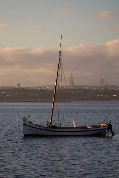 Vertikal Bild Båt Som Seglar Havet Kvällen — Stockfoto