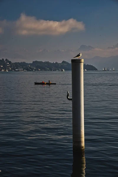 Vertical Shot Bird Sitting Column Sea Lucerne Switzerland — Foto de Stock