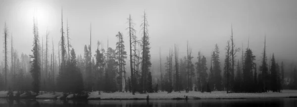 Een Grijs Landschap Wyoming Yellowstone National Park — Stockfoto