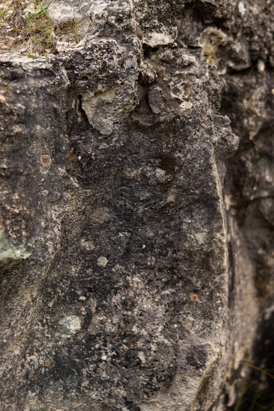 Ένα Κοντινό Πλάνο Μιας Ανάγλυφης Επιφάνειας Βράχου — Φωτογραφία Αρχείου