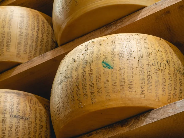 Parma Italy Nov 2021 Protered Parmigiano Reggiano Cheese Wheel Matching — 스톡 사진