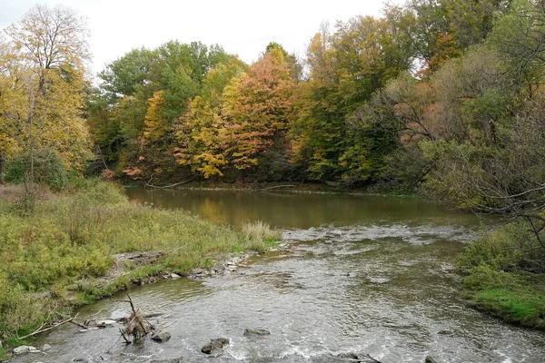 紅葉の木々の間を流れる川の景色 — ストック写真