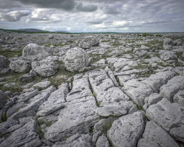 Kalksten Trottoaren Burren County Clare Irland — Stockfoto