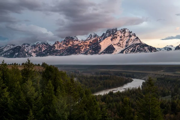 Grand Teton National Park Snake River Overlook Elk Usa — 图库照片