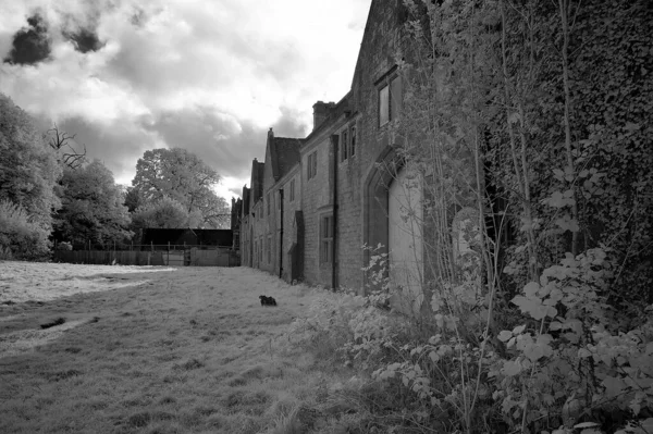 Grayscale Shot Old Buildings Cloudy Sky — Stock Fotó