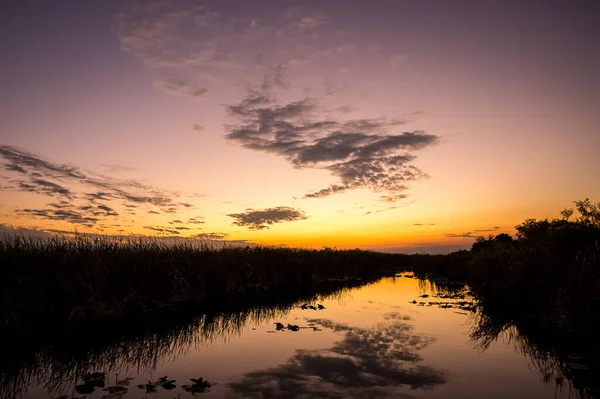 Piękny Zachód Słońca Parku Narodowym Everglades — Zdjęcie stockowe