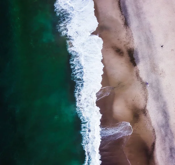 Вид Піщаний Пляж Птаха Хвилями Падають Берег — стокове фото